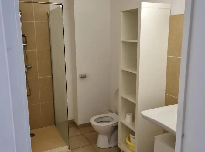 T2 Dans Avec Piscine *