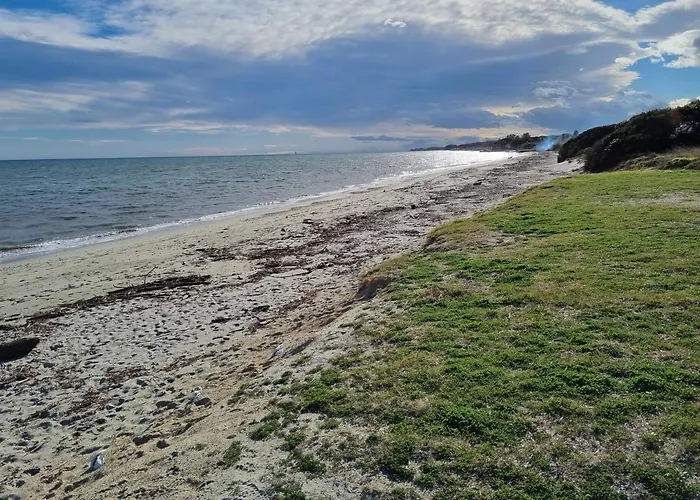 T2 Dans Avec Piscine Moriani Plage