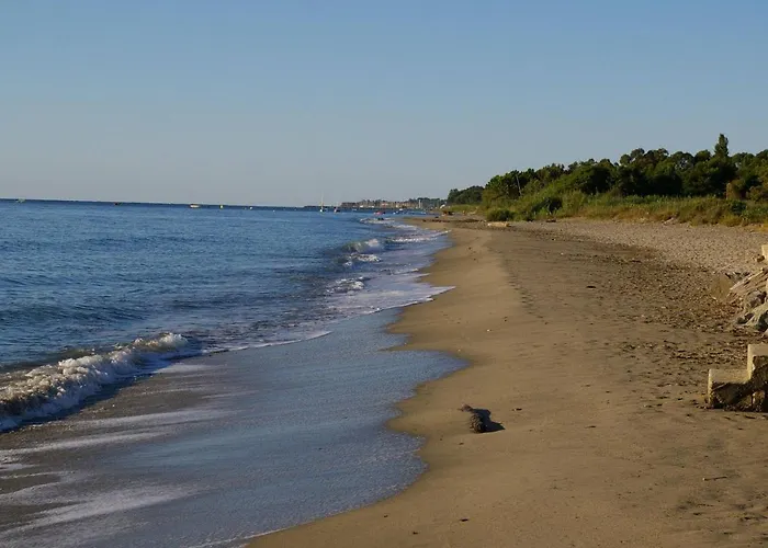 T2 Dans Avec Piscine *